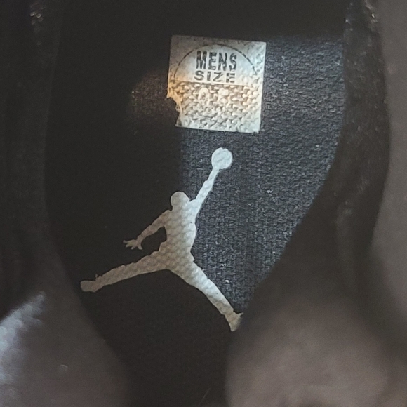 Air Jordan Retro 8 SE - Picture 7 of 12